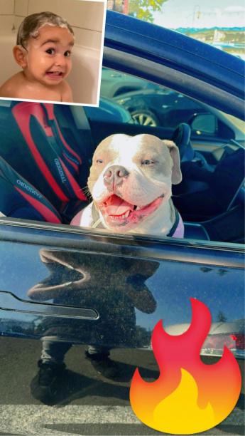 Estas Grandote Mi Rey ? @LouisVuitton 