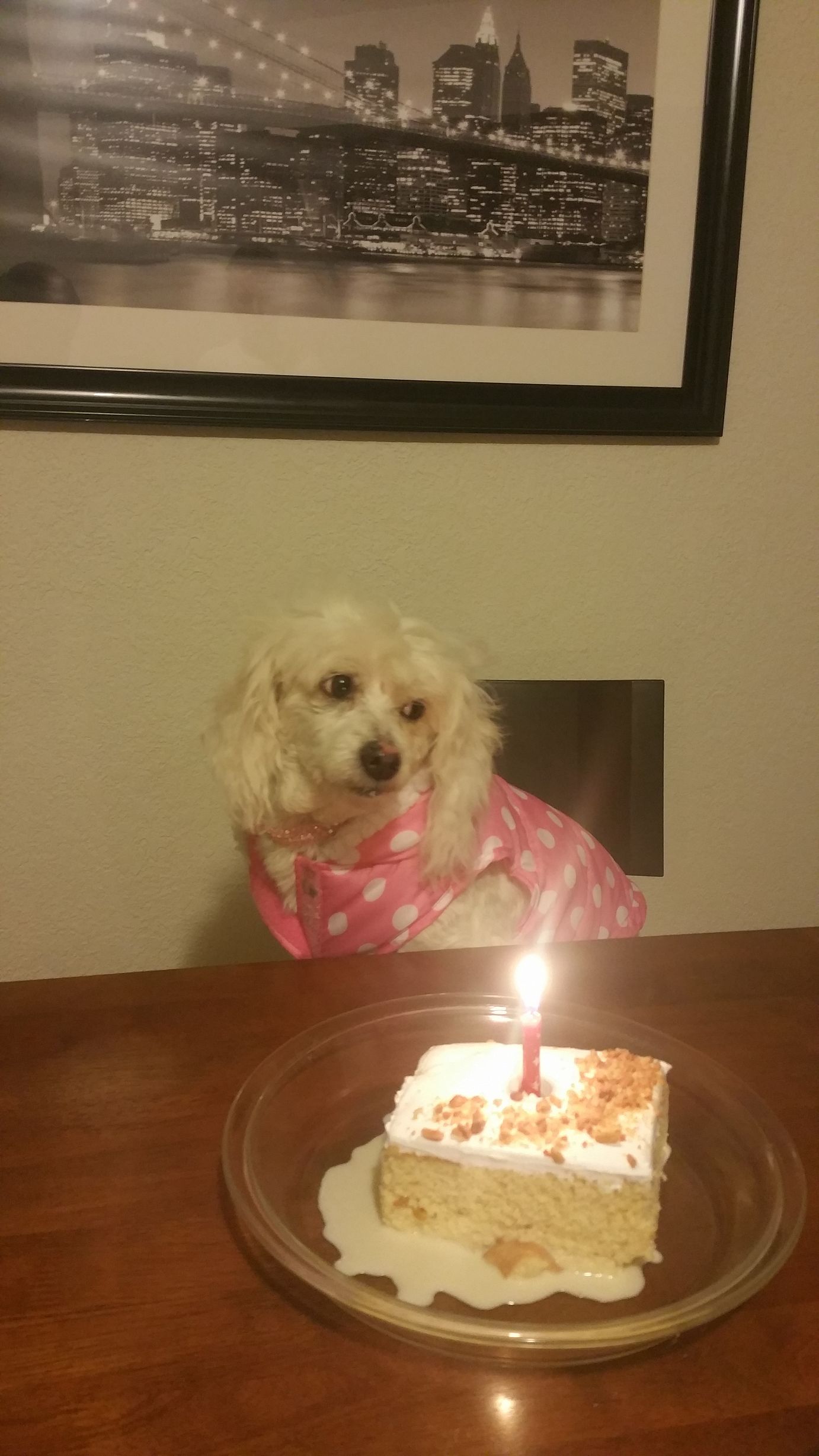 Cumpleaños de Shanell hace años.